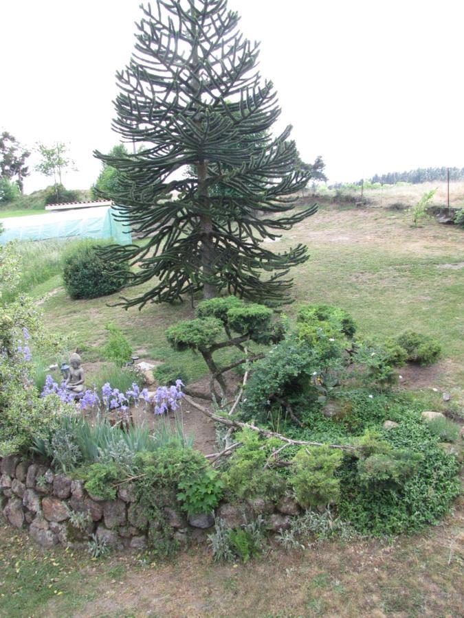 Monistrol-sur-LoireChez Sophie Et Gilles住宿加早餐旅馆 外观 照片