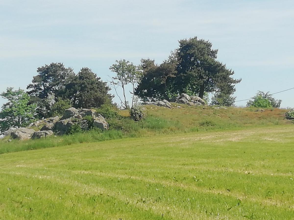 Monistrol-sur-LoireChez Sophie Et Gilles住宿加早餐旅馆 外观 照片
