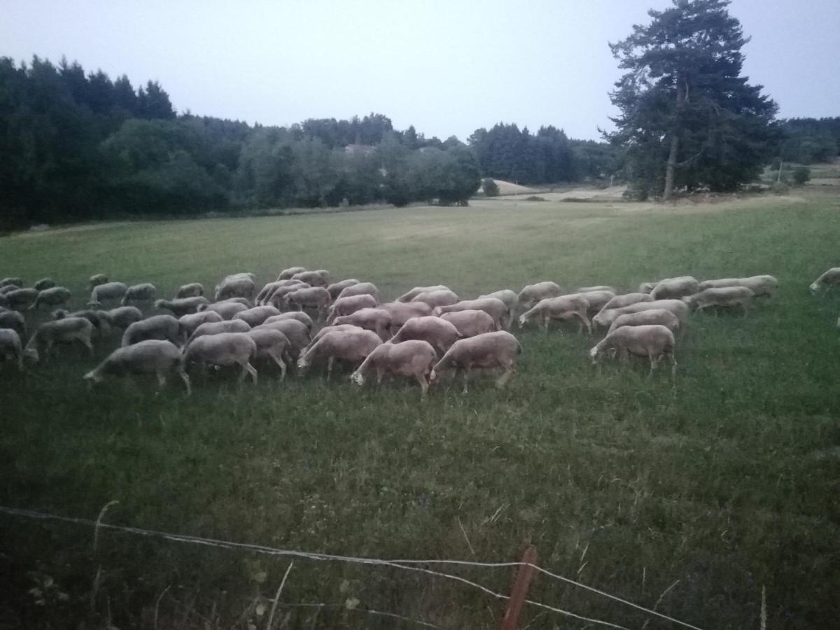 Monistrol-sur-LoireChez Sophie Et Gilles住宿加早餐旅馆 外观 照片
